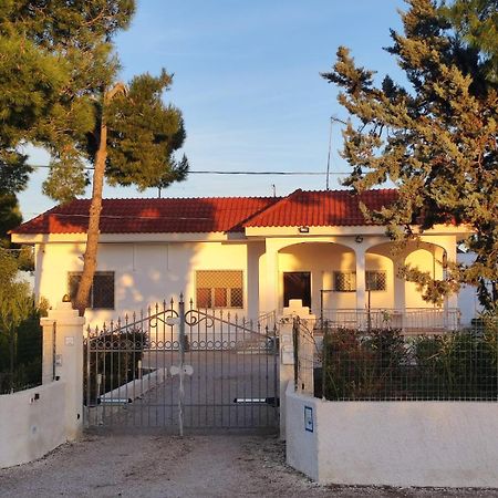 B&B Villa Vittorio 加拉托内 外观 照片