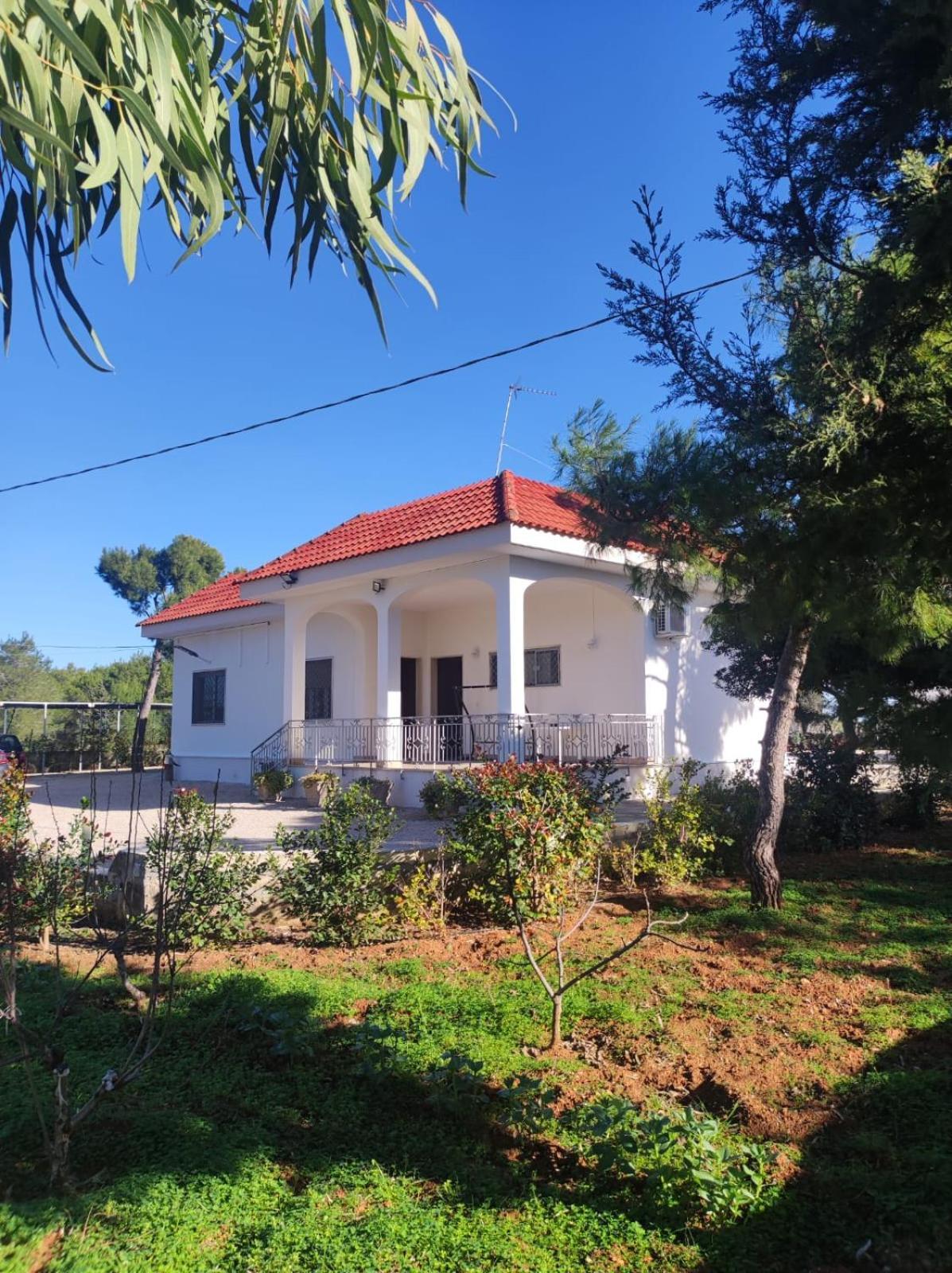 B&B Villa Vittorio 加拉托内 外观 照片